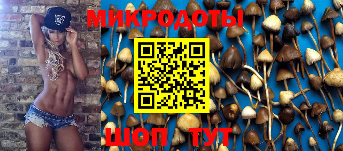 Галлюциногенные грибы мицелий Вязьма