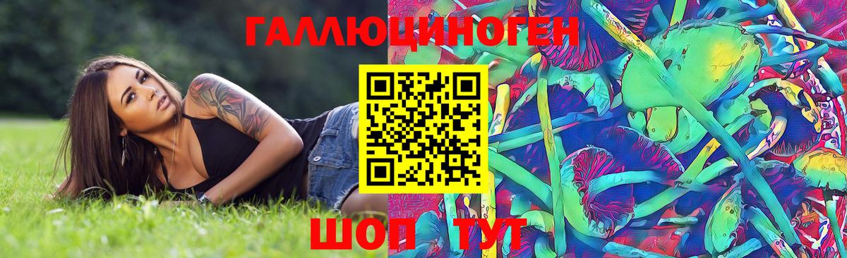 Галлюциногенные грибы мицелий  Псилоцибиновые грибы Psilocybe  Вязьма  Вход с VPN 